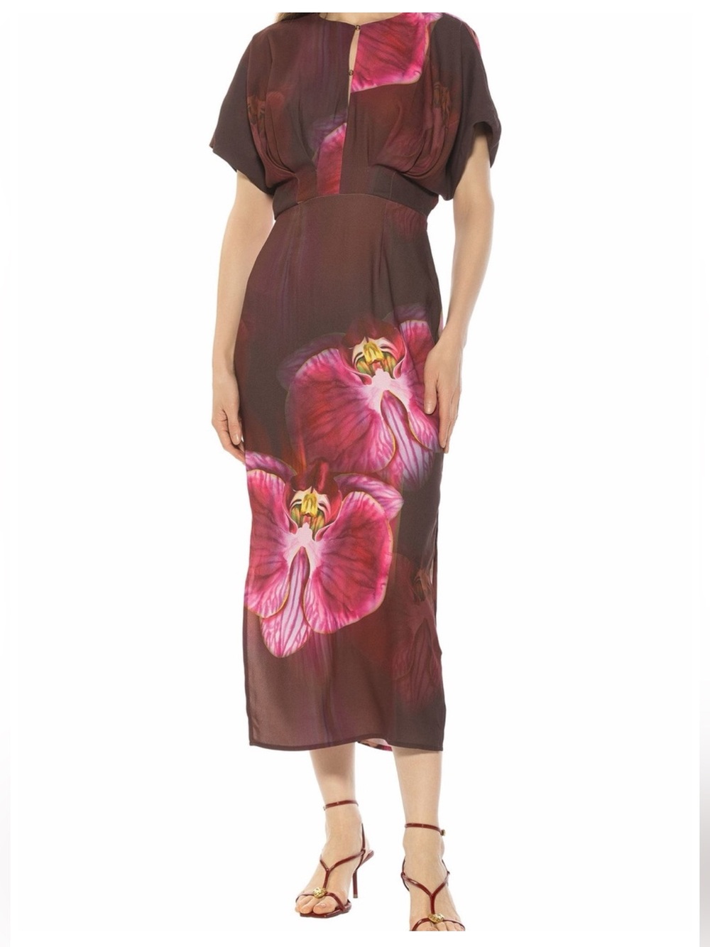 Alexia Admor Brown Midi Dress with Pink Floral Print - Size 12